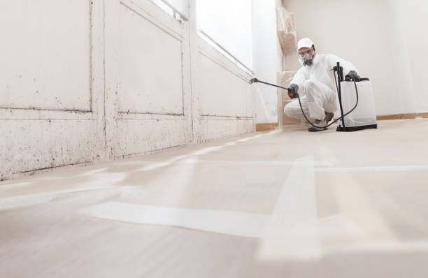 24/7 Emergency Mold Inspection experts in Howell, MI